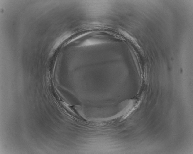 X0000070351453200606301754