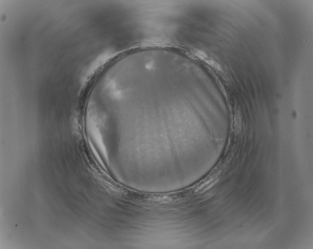 X0000070351454200606301754