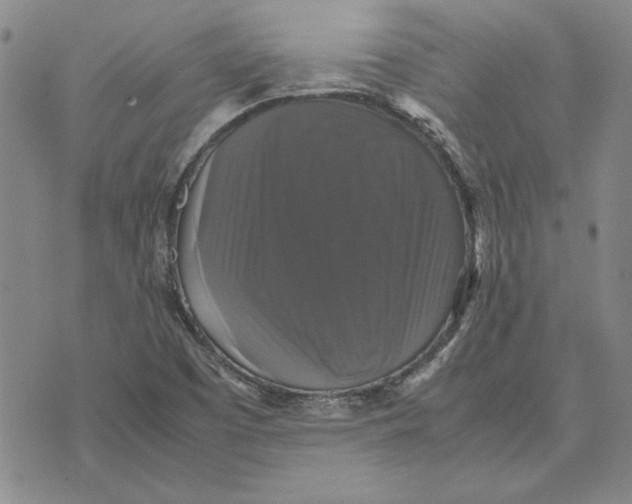 X0000070351457200606301754