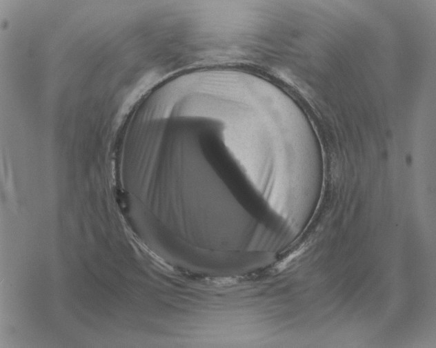 X0000070351459200606301753