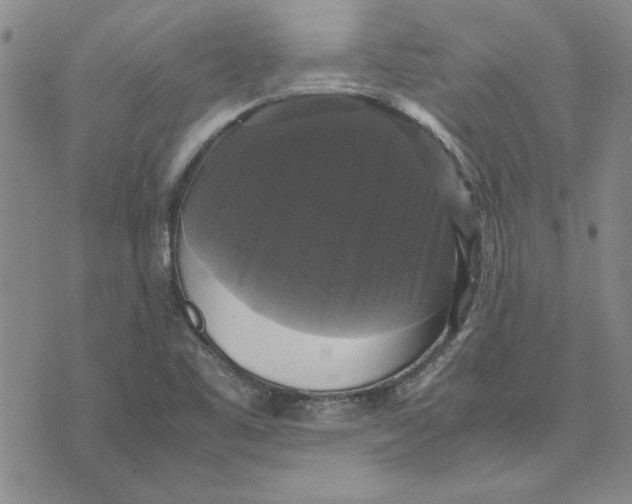 X0000070351461200606301753