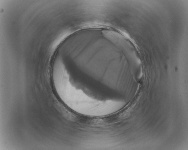 X0000070351463200606301753