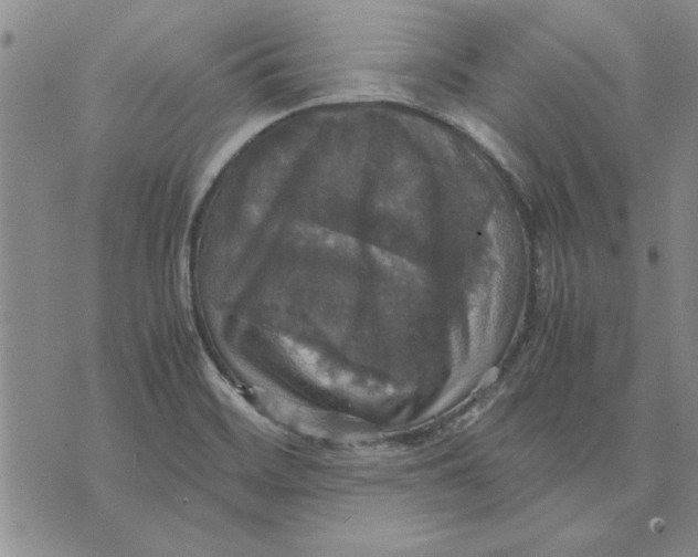 X0000070351468200606301753