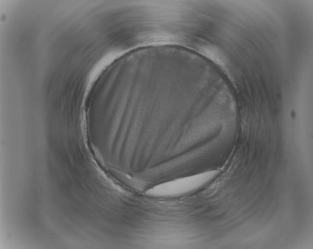 X0000070351472200606301753
