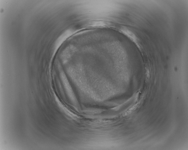 X0000070351475200606301753