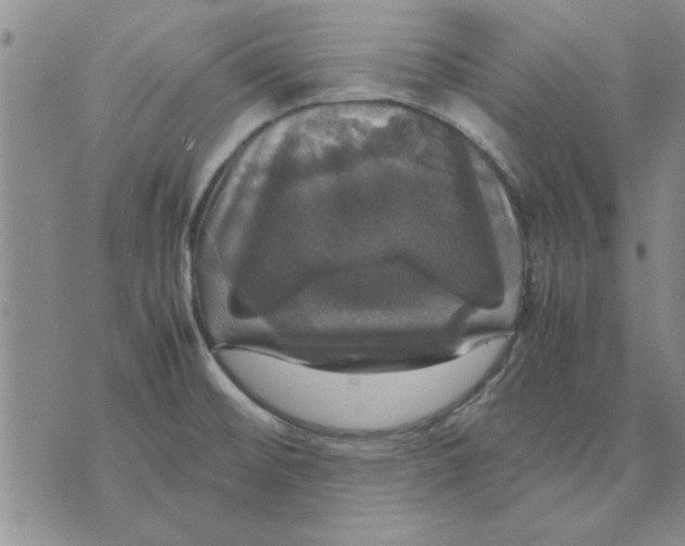 X0000070351476200606301753