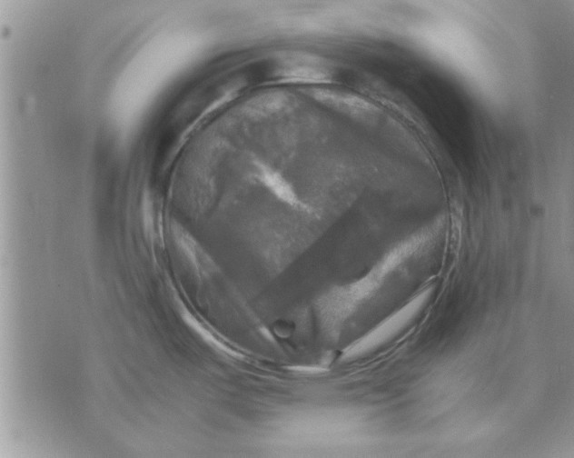X0000070351487200606301753
