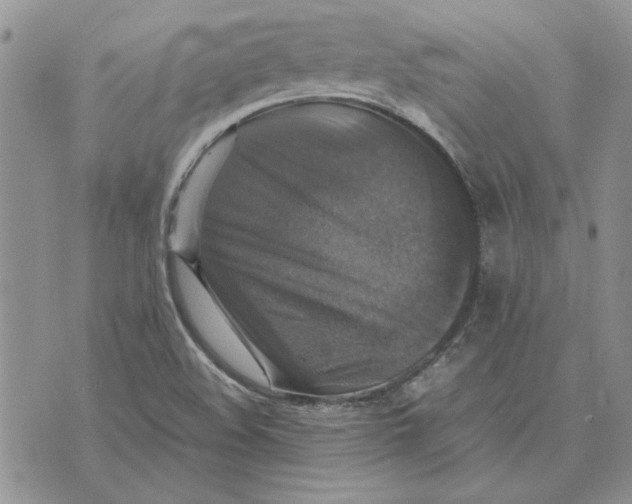 X0000070351508200606301753