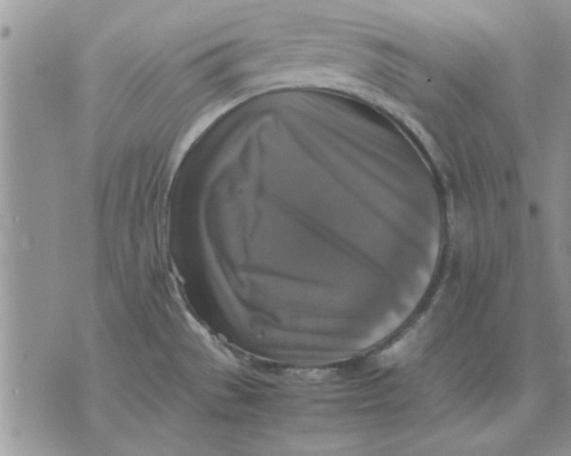 X0000070351529200606301753