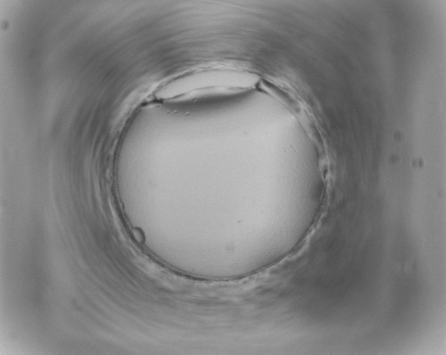 X0000070350001200607072050