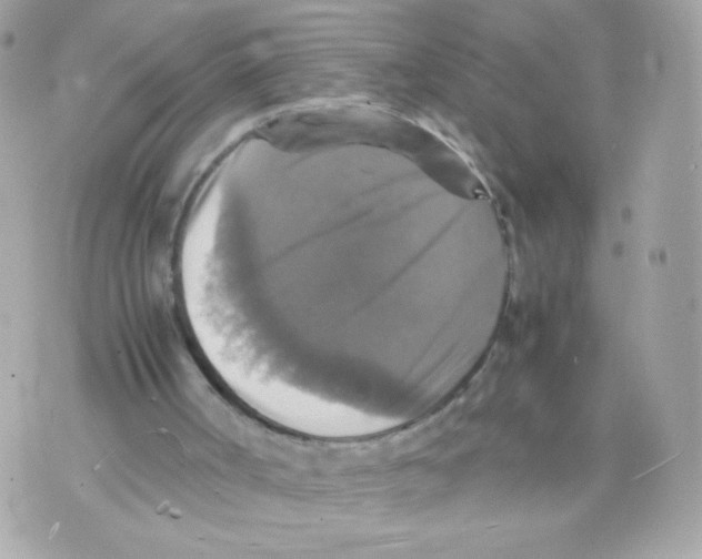 X0000070350002200607072050