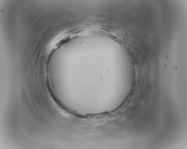 X0000070350005200607072050