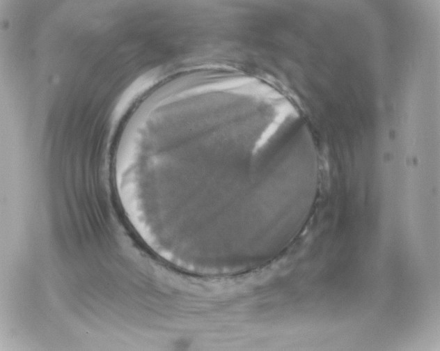 X0000070350006200607072050