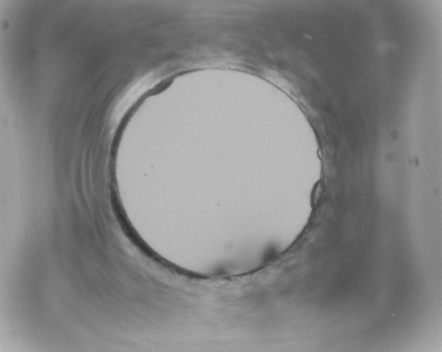 X0000070350007200607072050