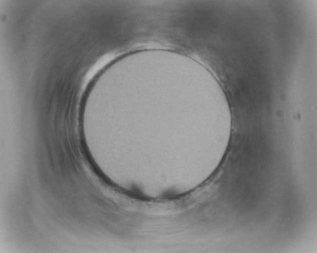 X0000070350008200607072050