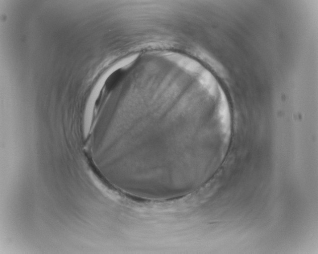 X0000070350009200607072050