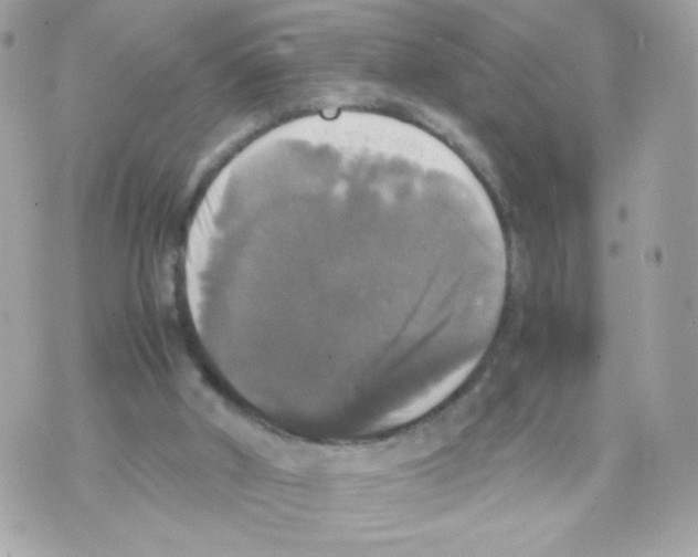 X0000070350010200607072050