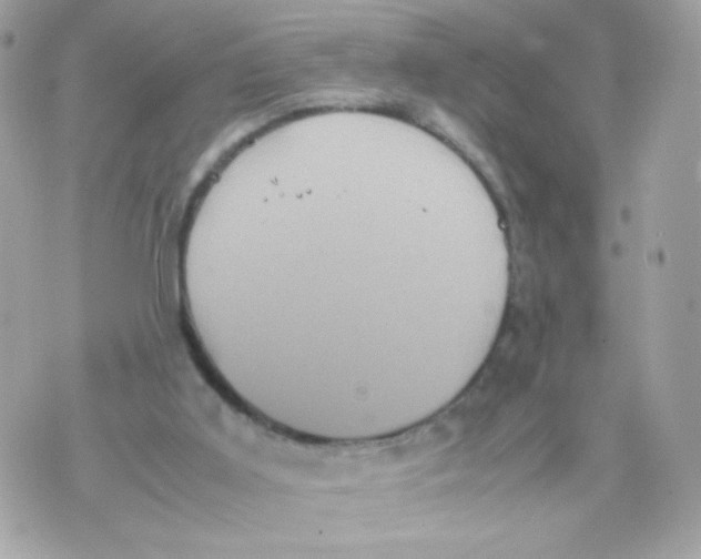 X0000070350011200607072050