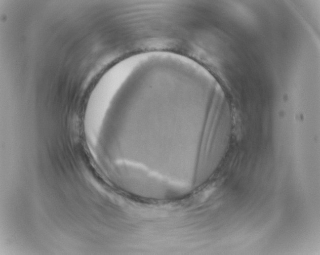 X0000070350012200607072049