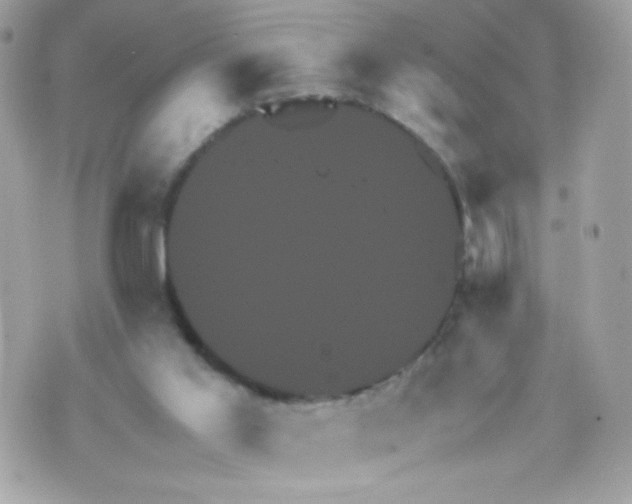 X0000070350013200607072049