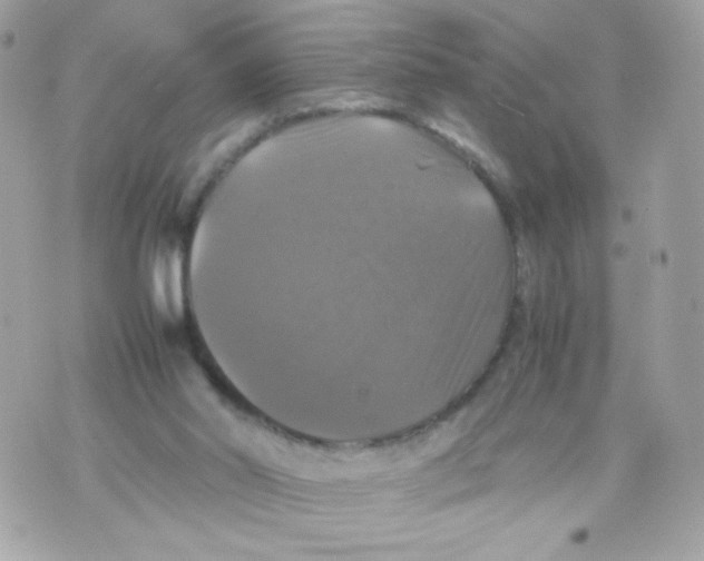 X0000070350014200607072049