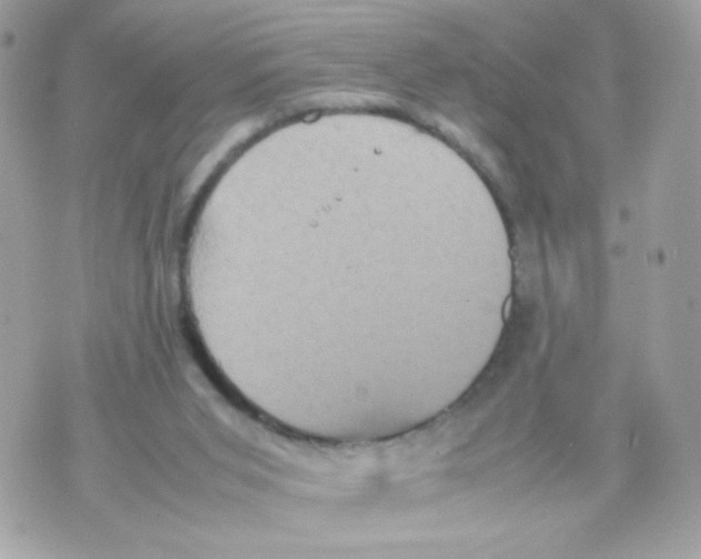 X0000070350015200607072049