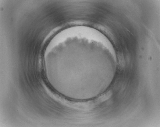 X0000070350016200607072049