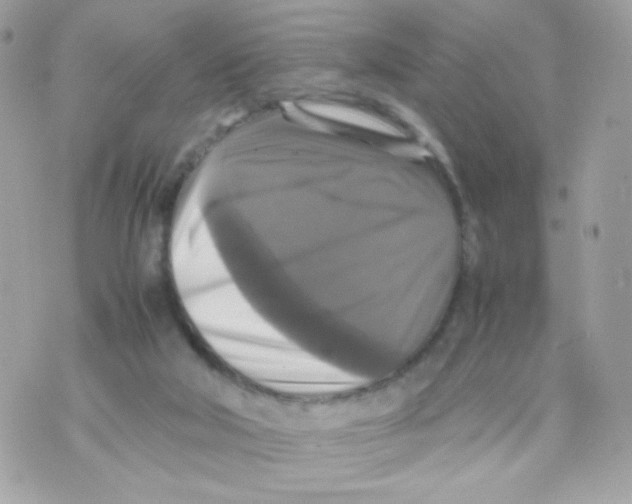 X0000070350018200607072049