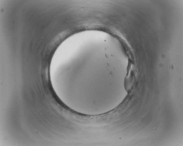 X0000070350019200607072049