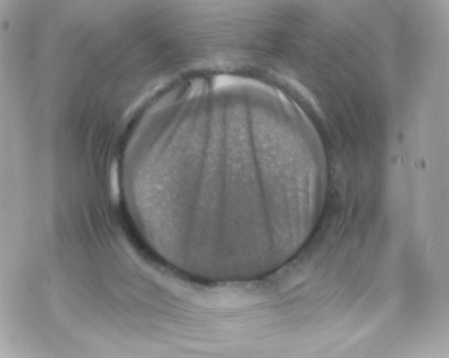 X0000070350020200607072049