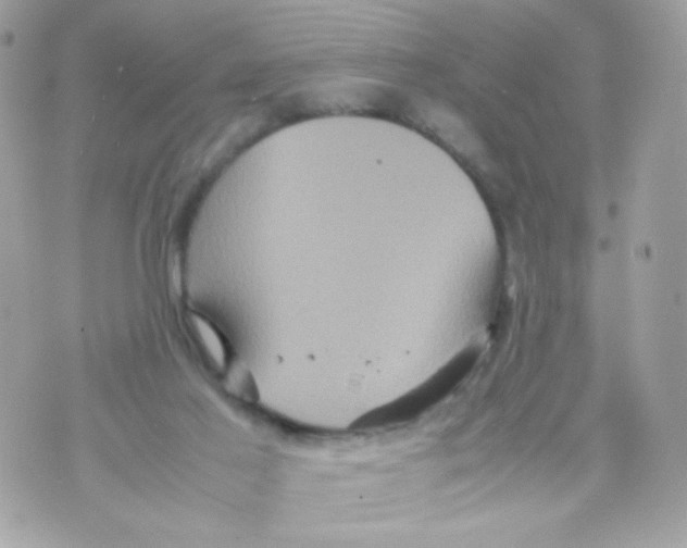 X0000070350021200607072049