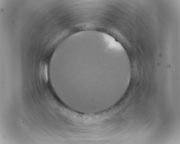 X0000070350022200607072049