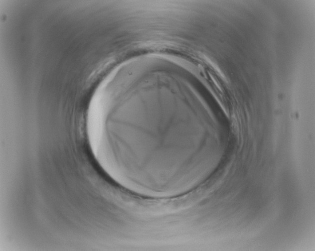 X0000070350023200607072049