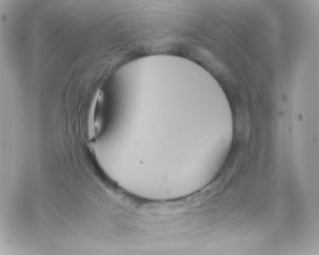 X0000070350025200607072049