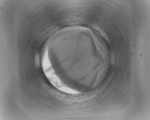 X0000070350026200607072049