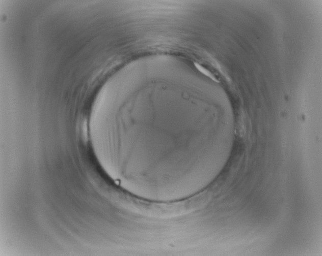 X0000070350027200607072049