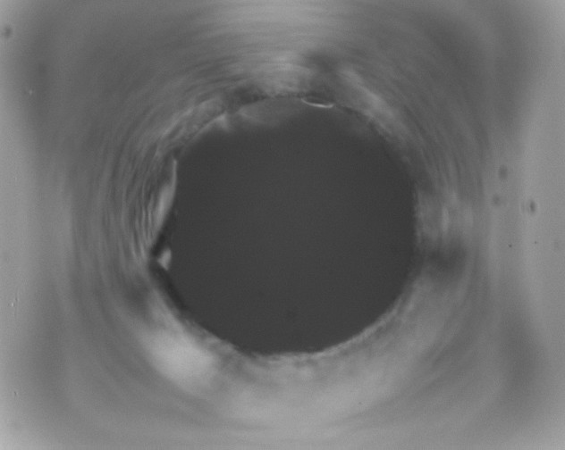 X0000070350029200607072049