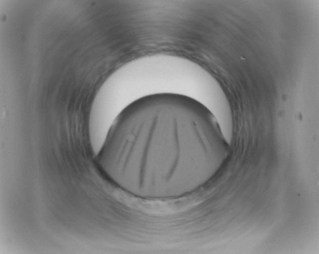 X0000070350030200607072049