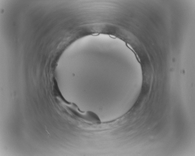 X0000070350031200607072049