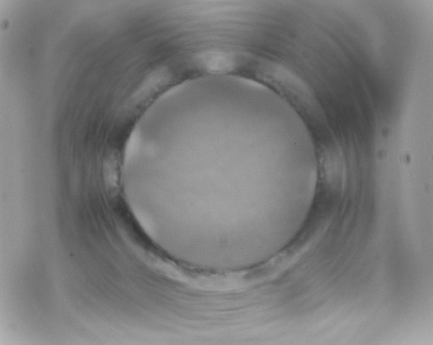 X0000070350032200607072049