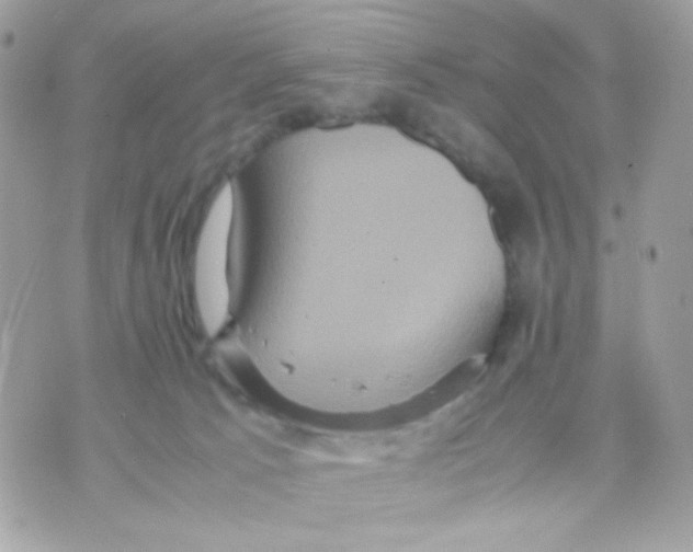 X0000070350033200607072049