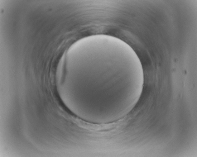 X0000070350035200607072049