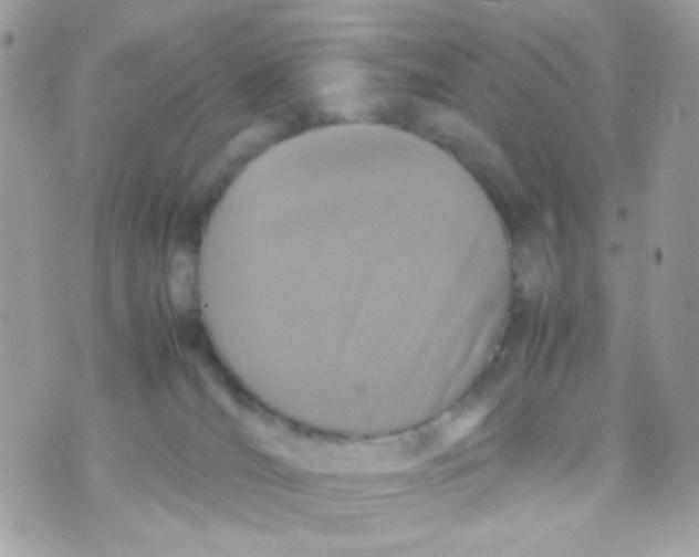 X0000070350036200607072049