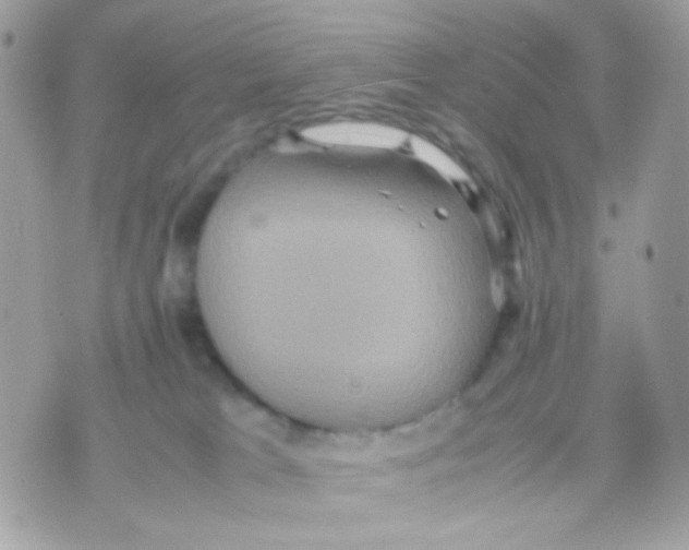 X0000070350037200607072049