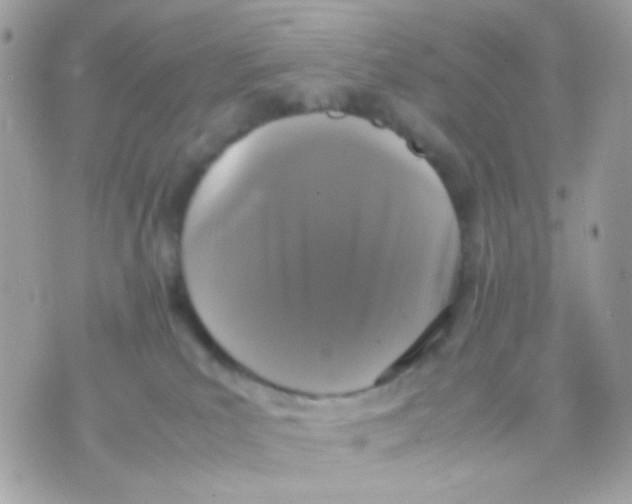 X0000070350039200607072049