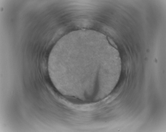 X0000070350040200607072049