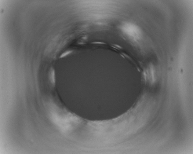 X0000070350041200607072049