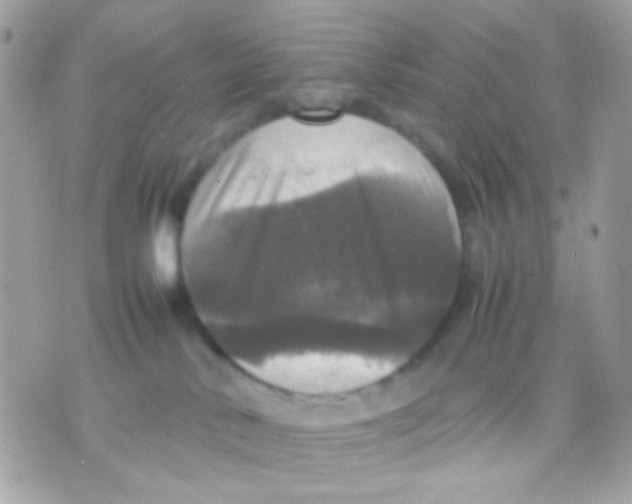 X0000070350042200607072049