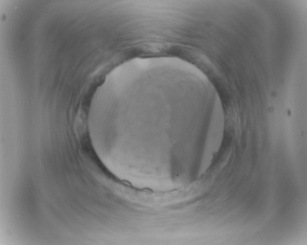 X0000070350043200607072049