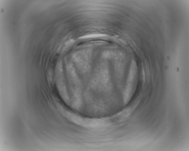 X0000070350044200607072049